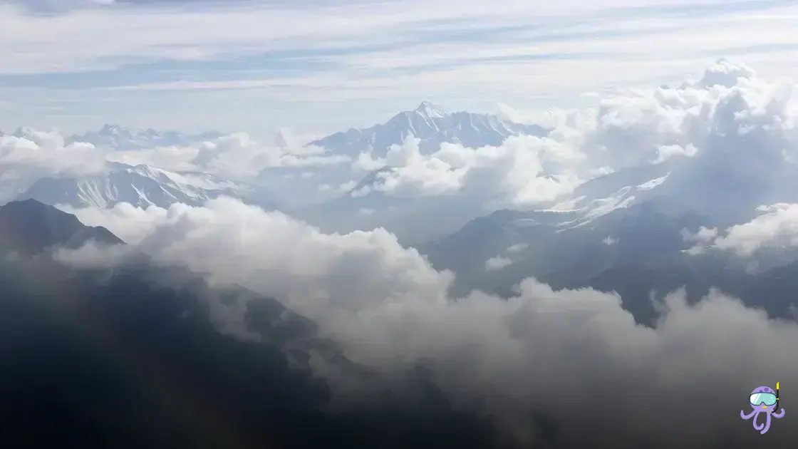 por que cachorro come cocô