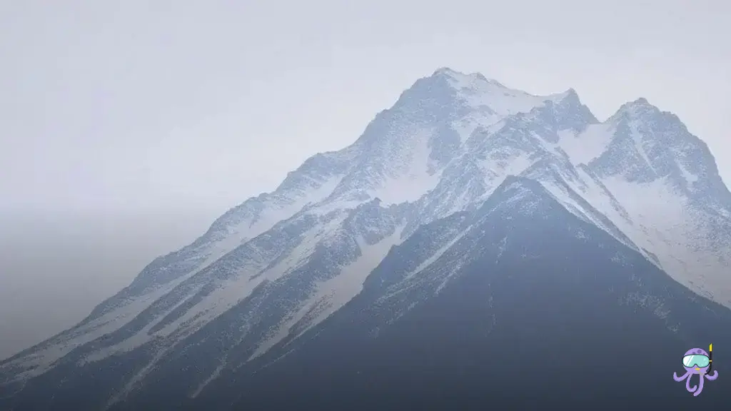 laxante para cachorro preço